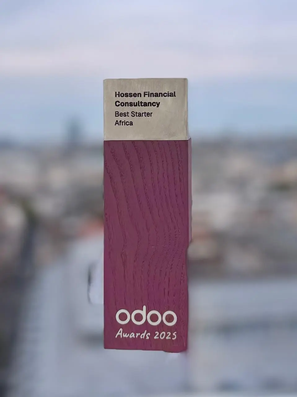 Best Odoo Partner Africa 2025